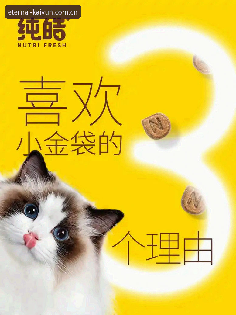 2026独立品牌主张KAIYUN中国 3个理由:为什么KAIYUN用“数据同步”回应了赵敏们的困惑